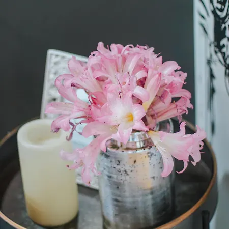 Landhaus Casa Luis De Camoes - Boutique & Literary House Santar