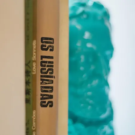 Casa Luis De Camoes - Boutique & Literary House Landhaus