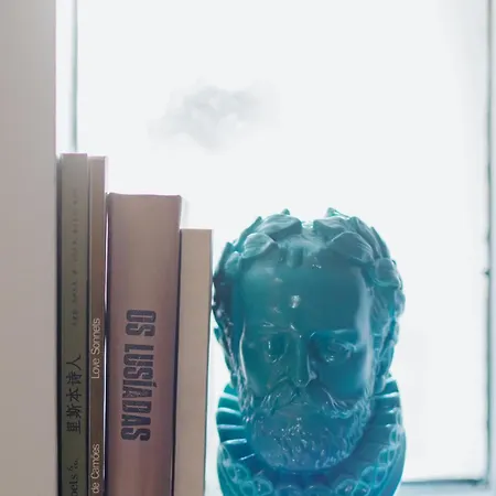 Casa Luis De Camoes - Boutique & Literary House Santar