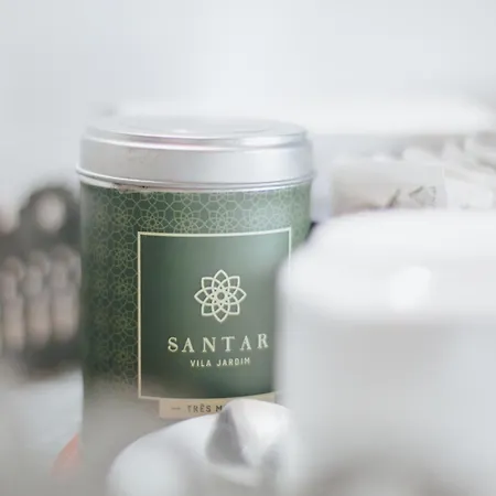 Casa Luis De Camoes - Boutique & Literary House Landhaus Santar