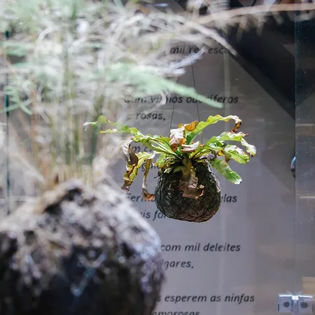 Landhaus Casa Luis De Camoes - Boutique & Literary House