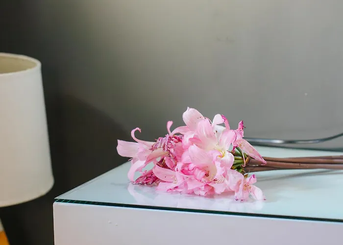 Casa Luis De Camoes - Boutique & Literary House * Santar