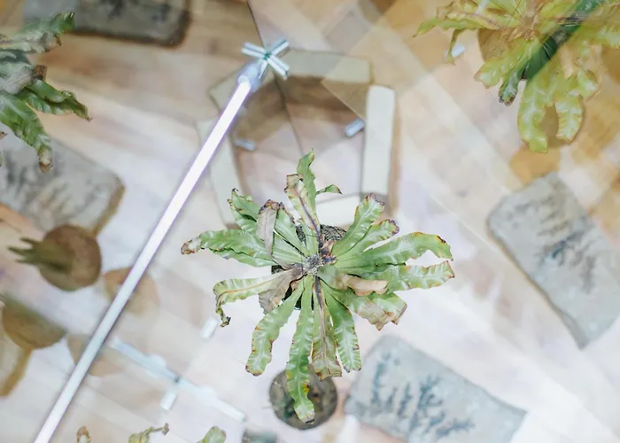 בית כפרי Casa Luis De Camoes - Boutique & Literary House *