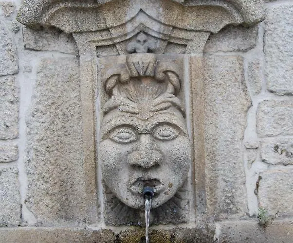 בית כפרי Casa Luis De Camoes - Boutique & Literary House Santar